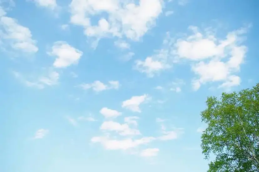 加藤 幸香の掲載