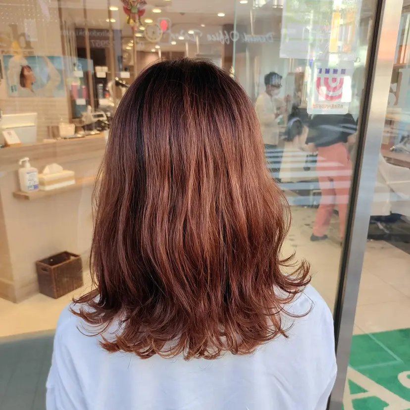 板橋 大祐の掲載