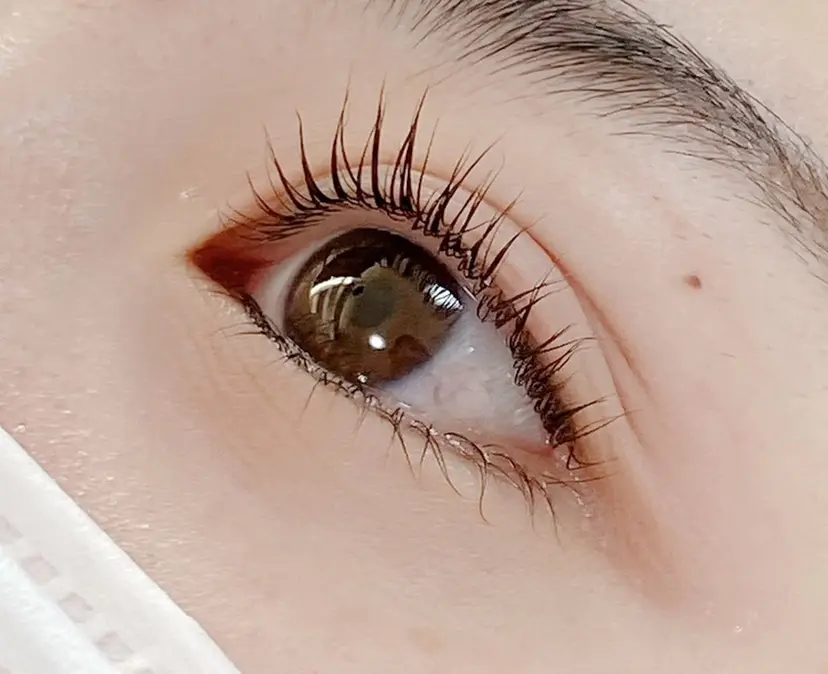 アネラ 北本店の掲載