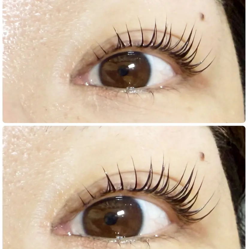 Was✨ Tsujiの掲載