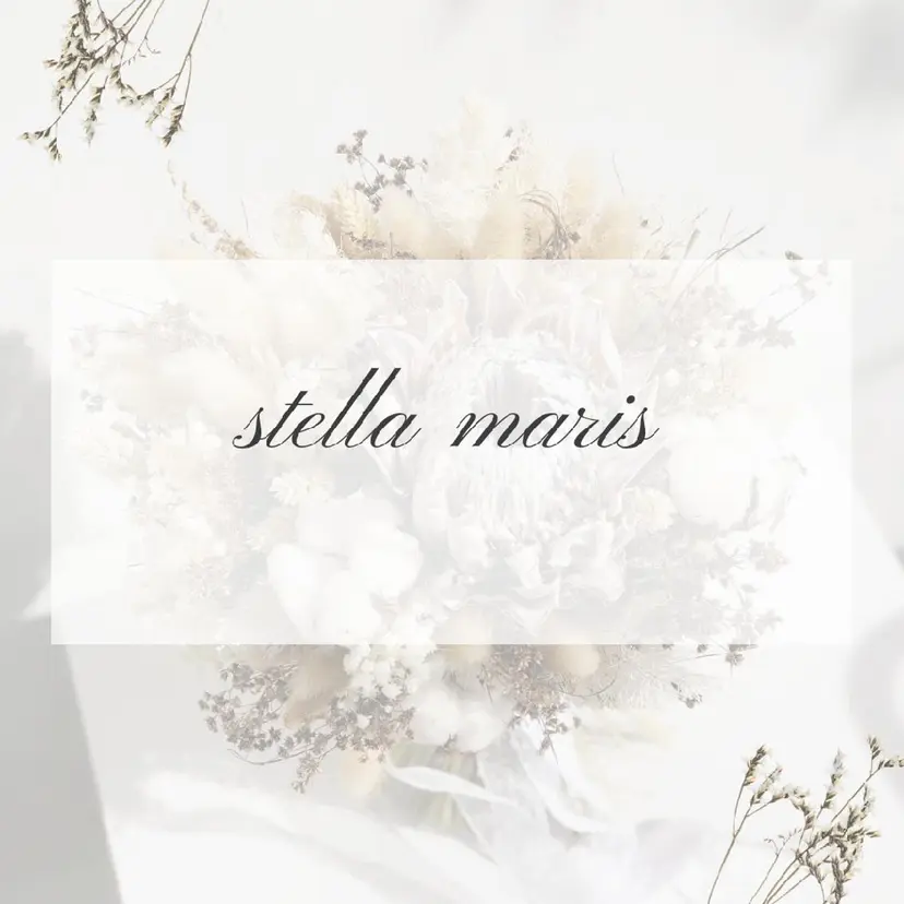 🌼ステラマリス🌼 Hiranoの掲載