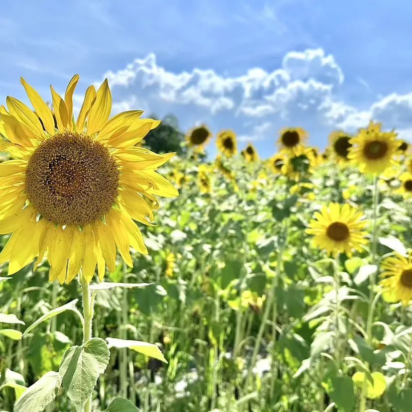 似合わせまつ毛パーマ KANAMI🍒ྀིの掲載