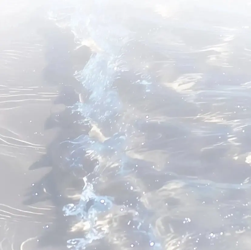 🍭凛nail 🍬の掲載