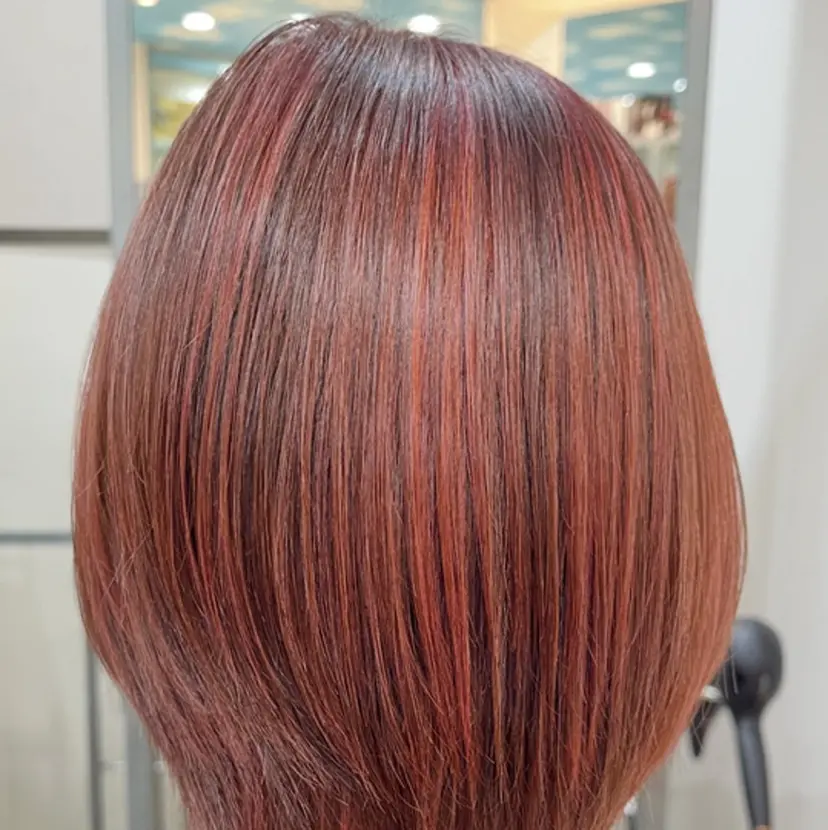 宮田 悠太郎の掲載