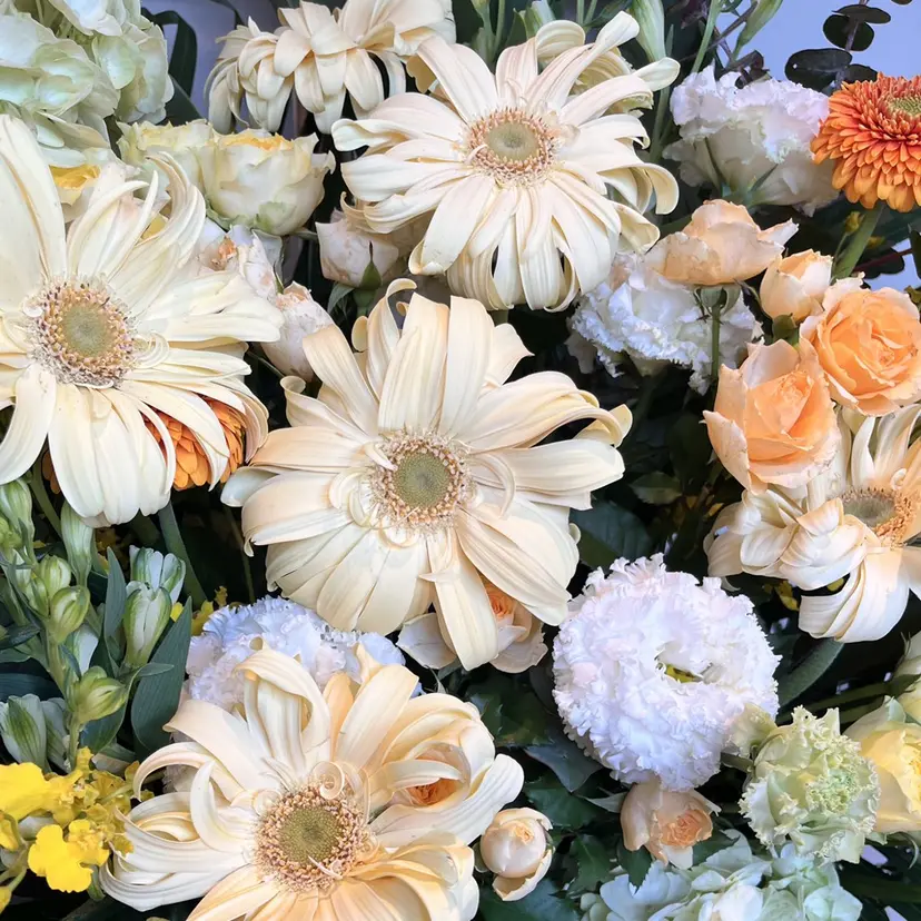 🌼Crellu杉山 真心🌼の掲載