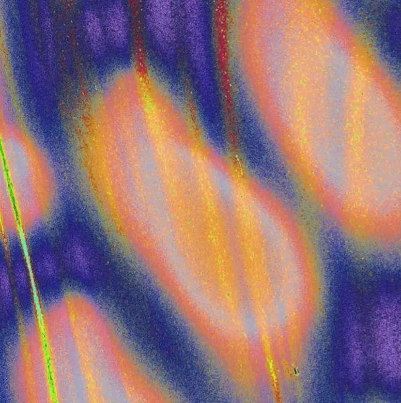 南川 百葉の掲載