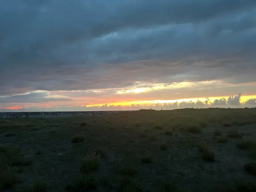 渡邉 優愛の掲載