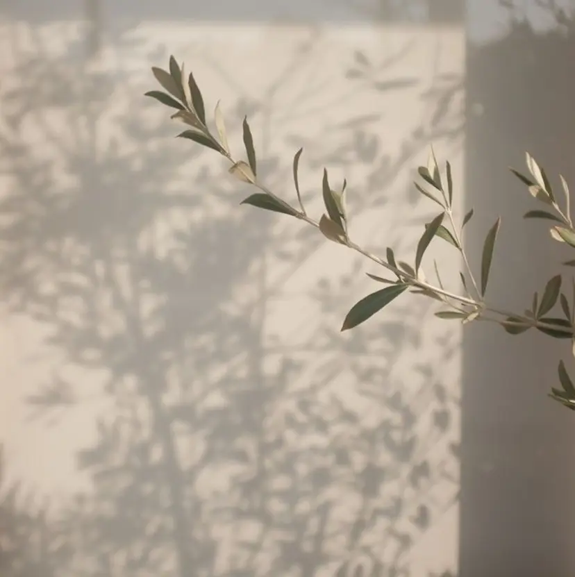 アイブロウ🛋️ /池袋/Rikoの掲載