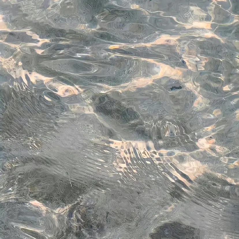 RINA 【Loem】の掲載