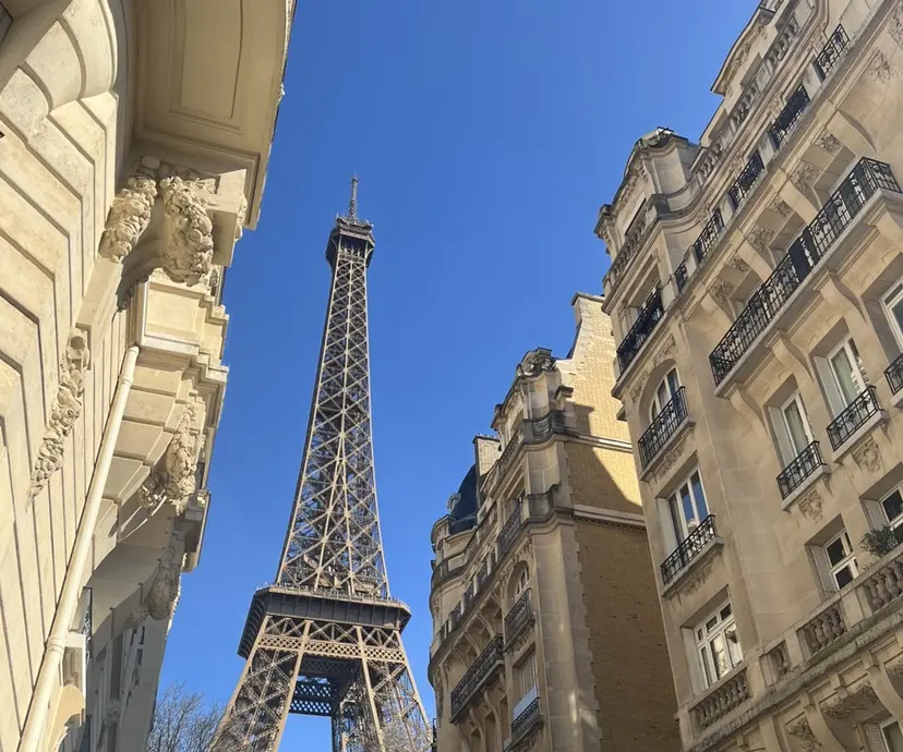 PATINA 安成 実記の掲載