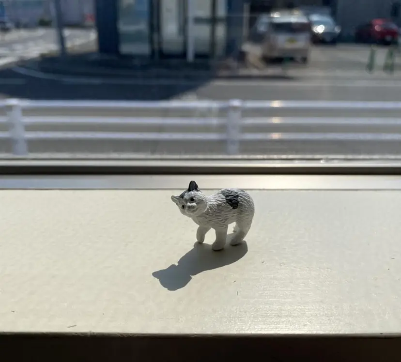 blanc かわでの掲載