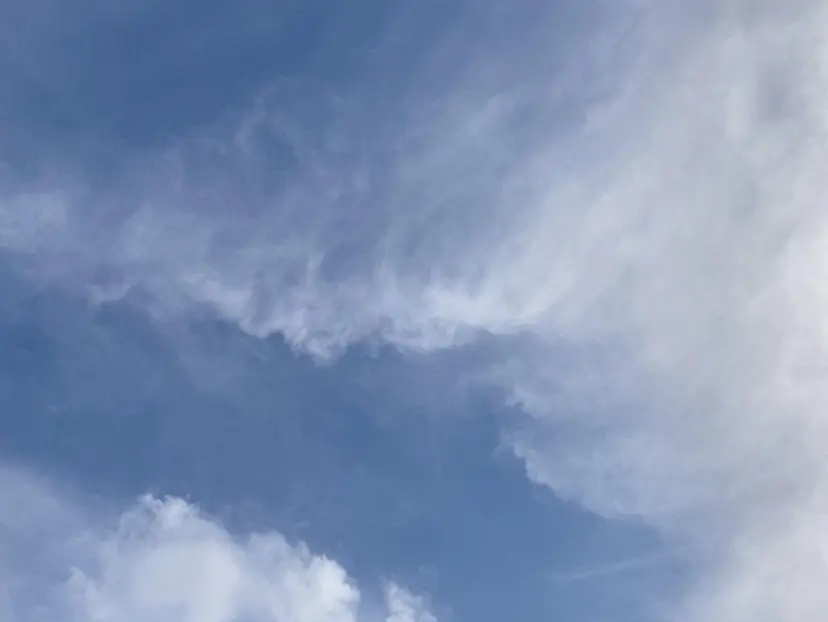 MAQUIA錦糸町 足立の掲載