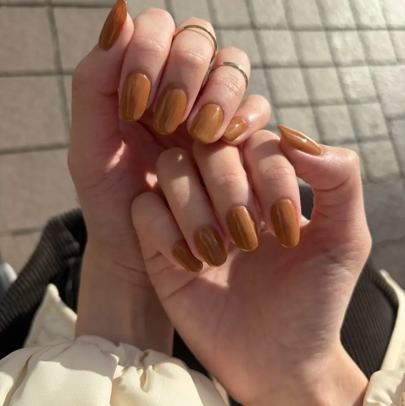 新林 小雪の掲載