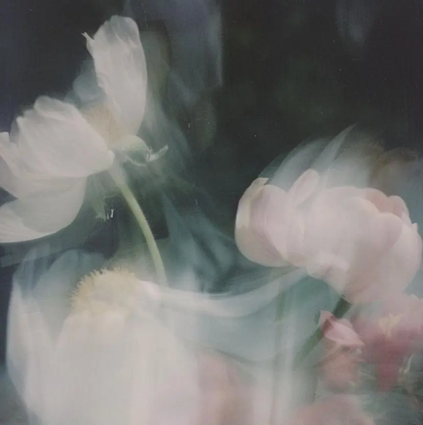 Himmel🪽💎 yumisaの掲載