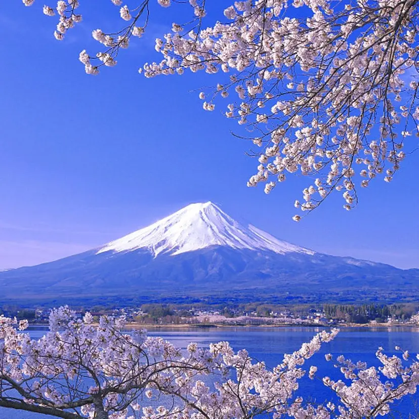 ラッキー 玲奈の掲載