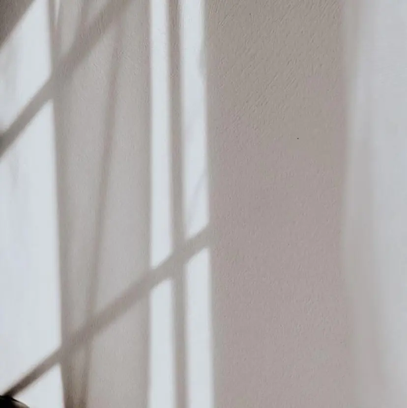 田中 鈴乃の掲載