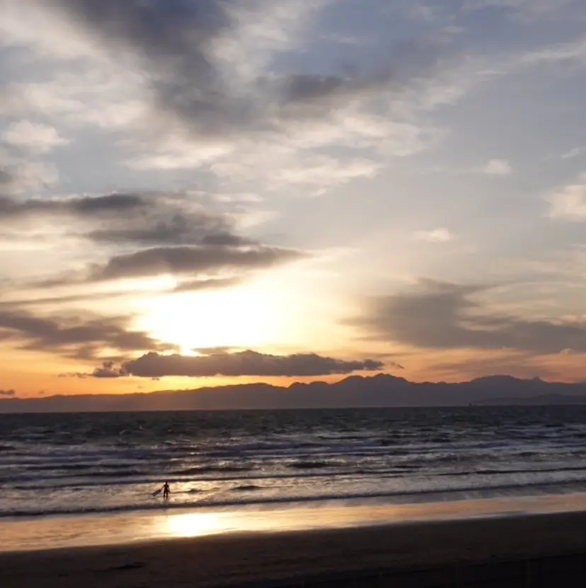 🦨🌼 aoi🌼の掲載