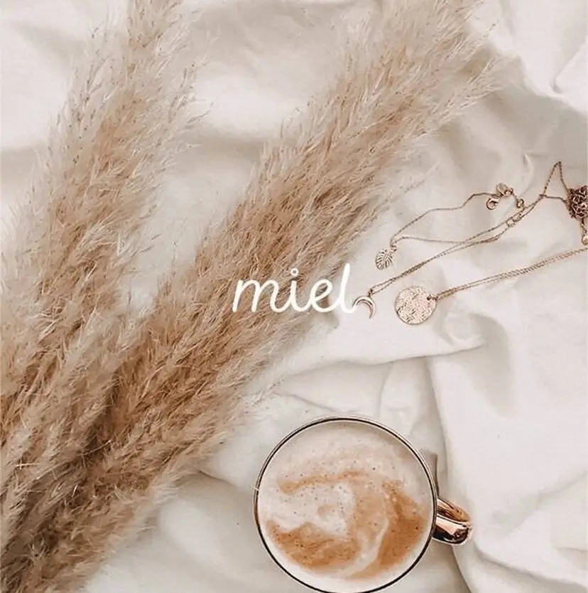 鎌倉 麻衣の掲載