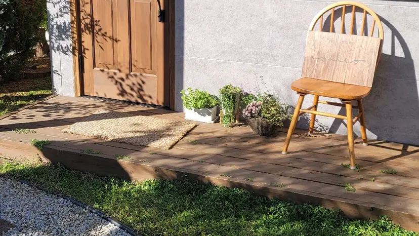 🌲🌳🚪iiit o🌲🌳🌲の掲載