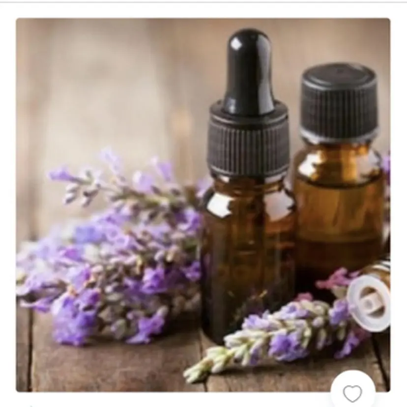 奥平 恵里の掲載