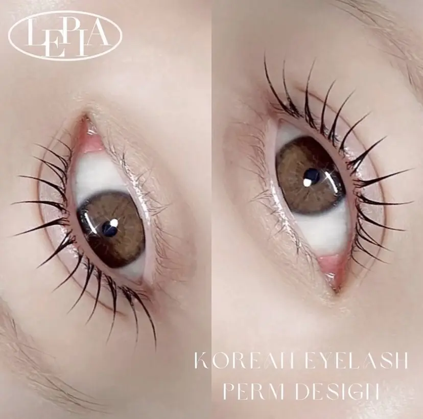 浅井 麗望の掲載