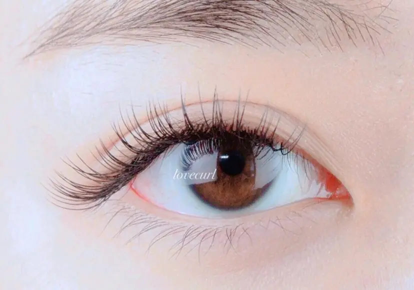 lovecurl 三軒茶屋の掲載