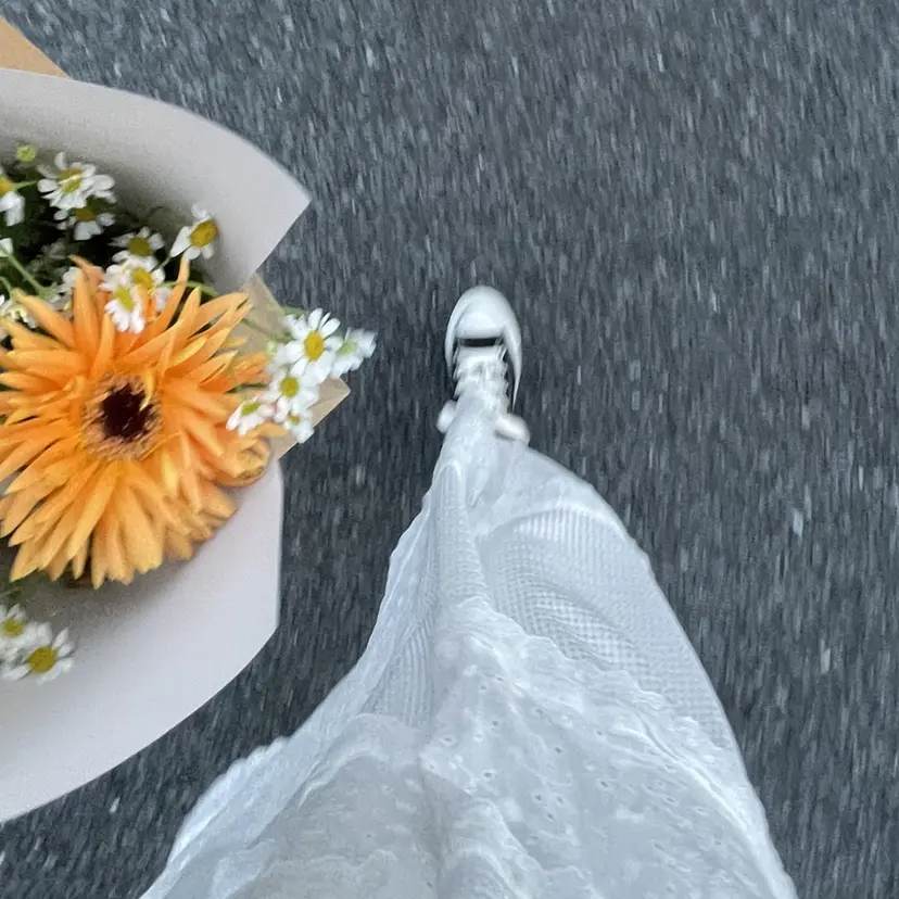 楓花 🌸の掲載