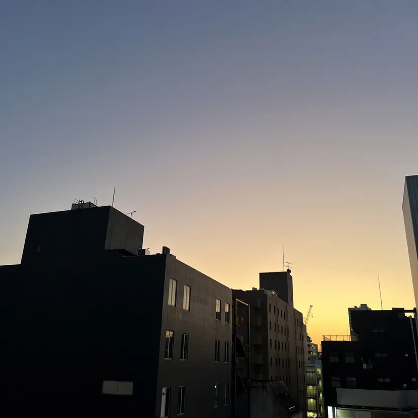 園田 紗也の掲載