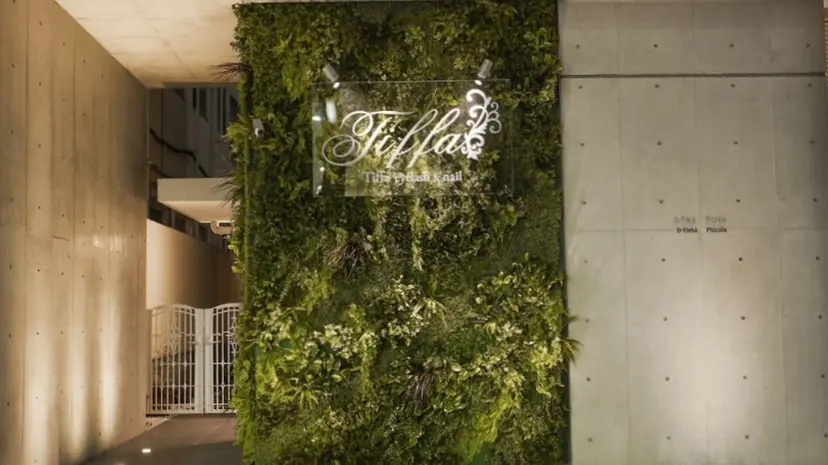 Tiffa武蔵小杉店 🍀はしもとの掲載