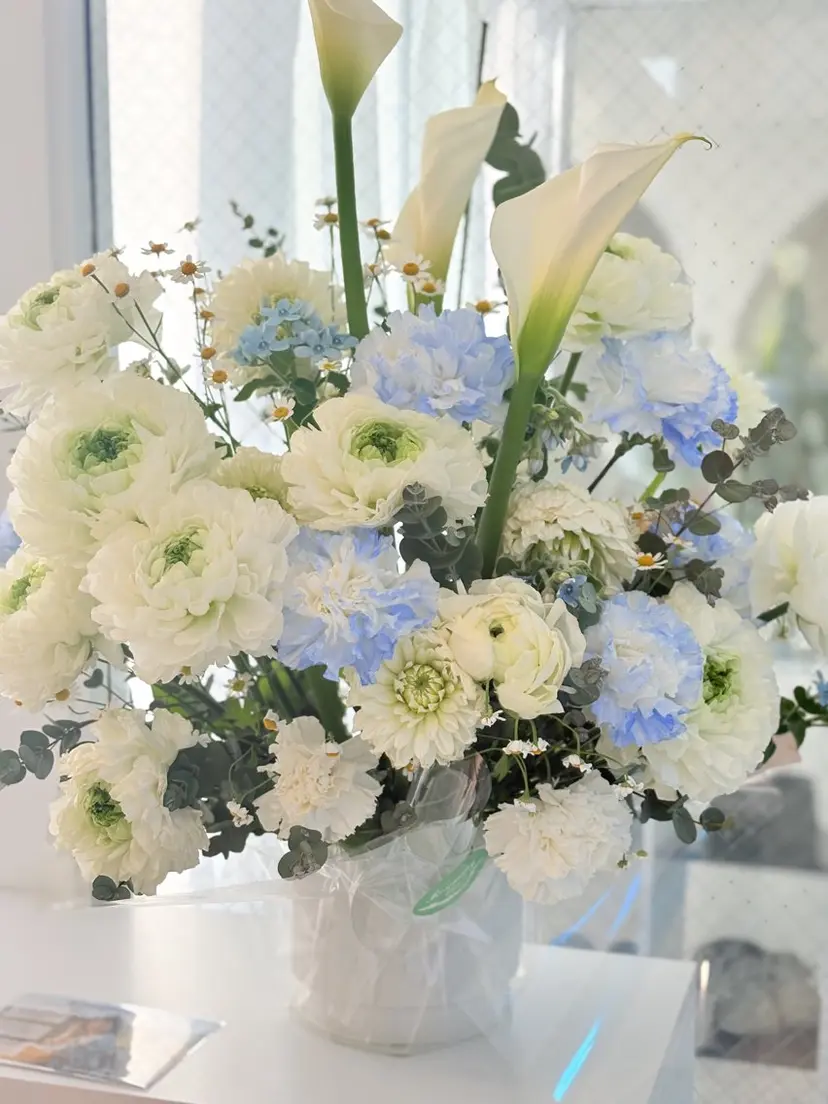 LAKE ももかの掲載