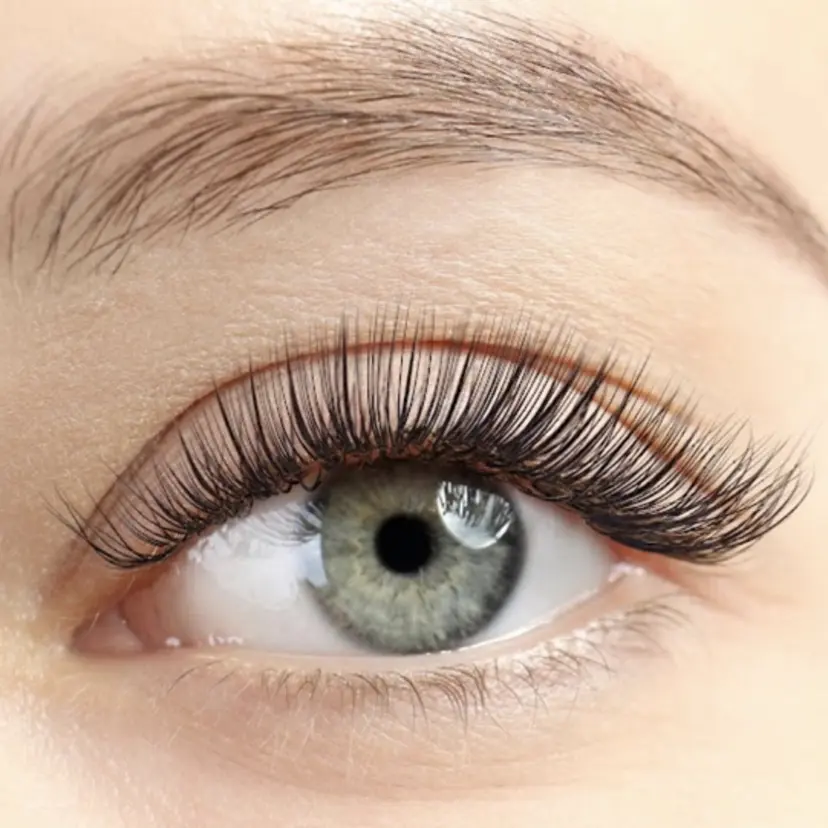 Ever eyes 伊礼の掲載