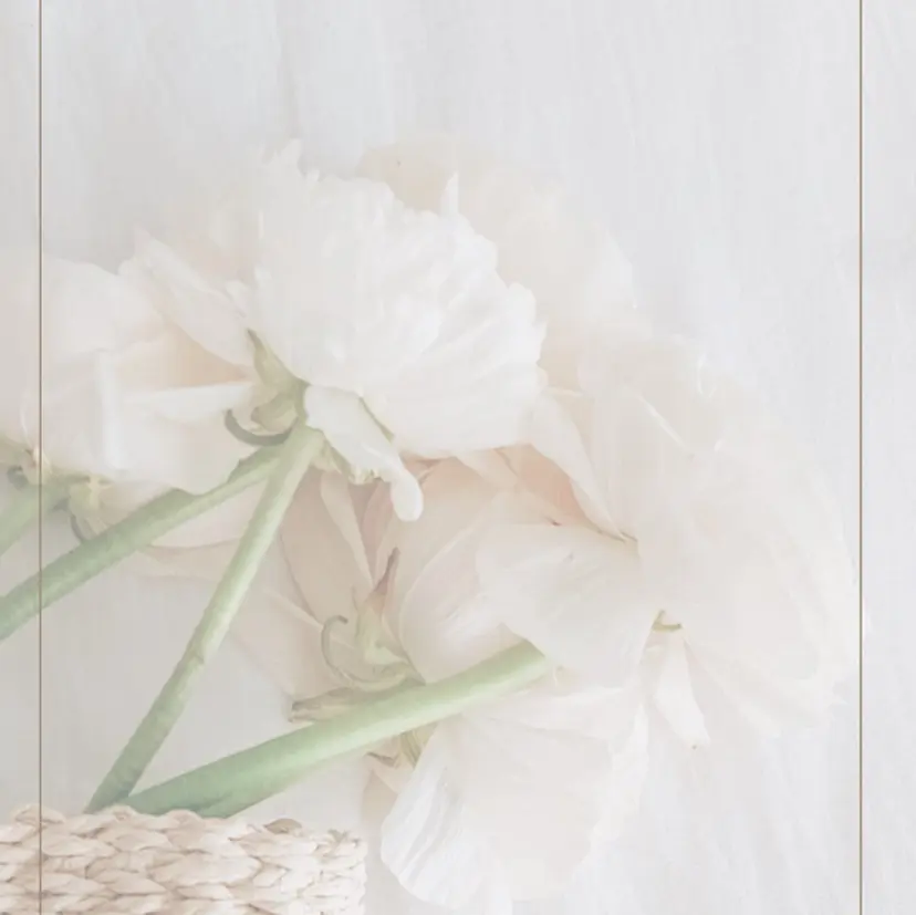 moana 重松の掲載