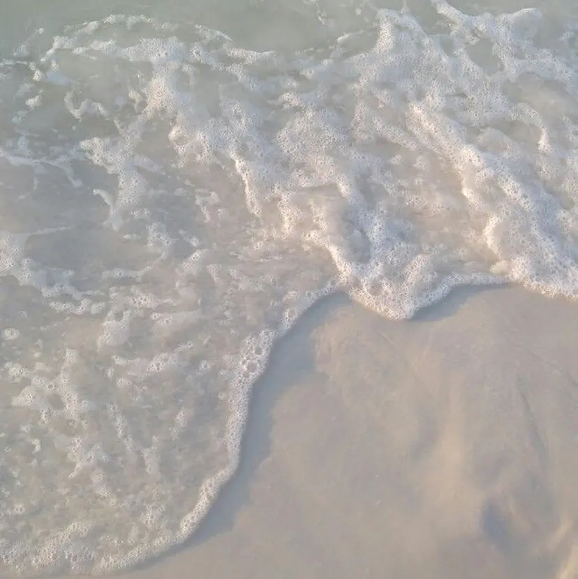 柿沼 沙希の掲載