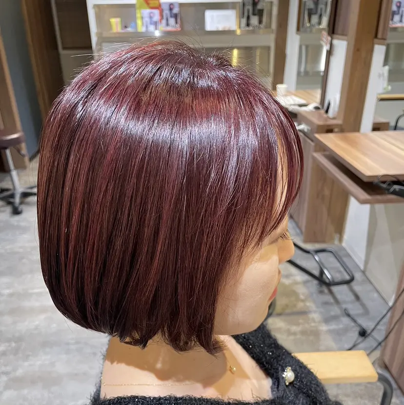 藤本 稀光の掲載