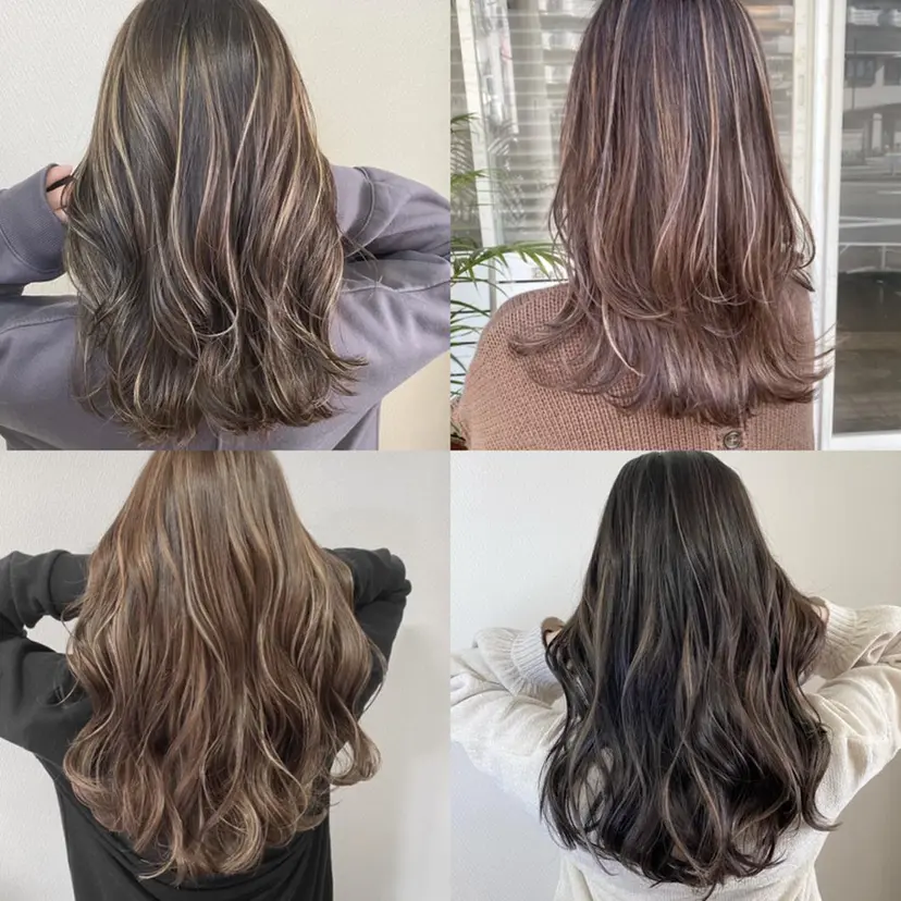 山本 茉希の掲載