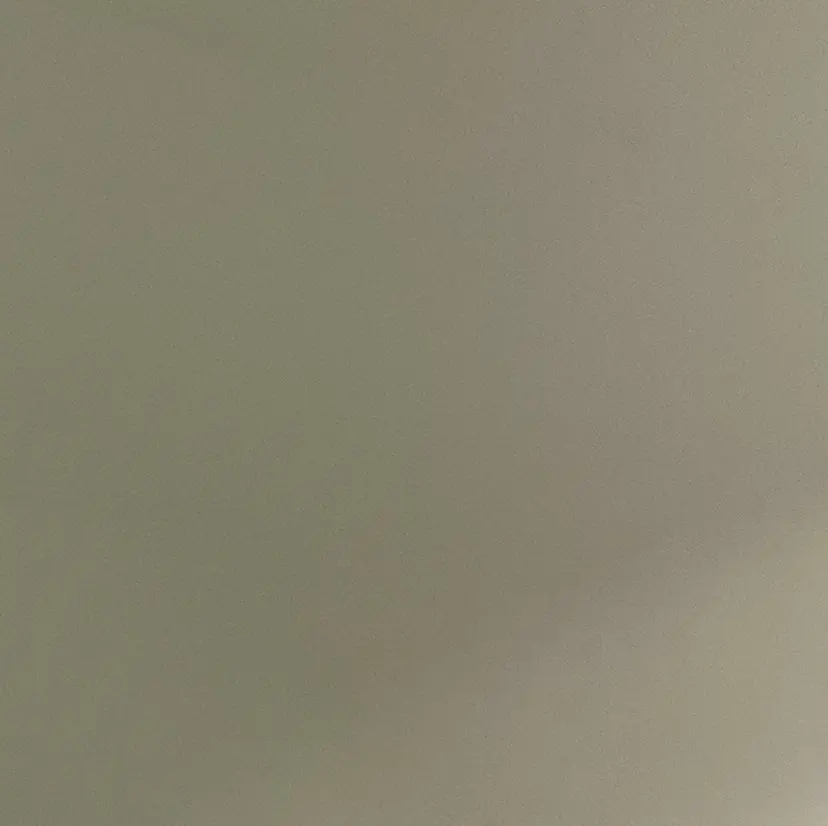 石澤 萌茄の掲載