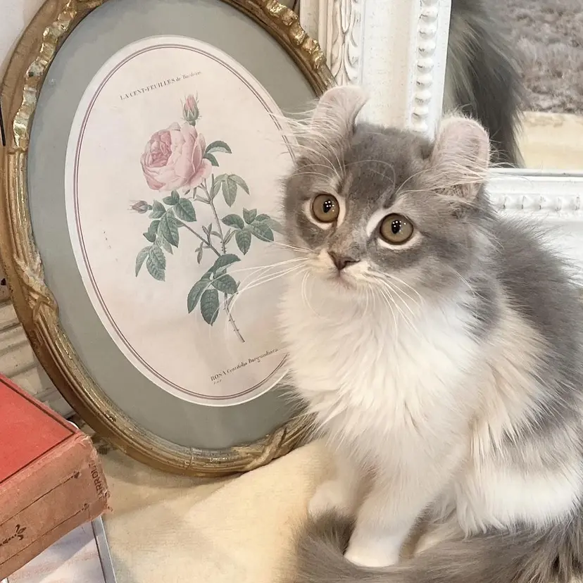 Runa🌙 渋谷/まつパの掲載