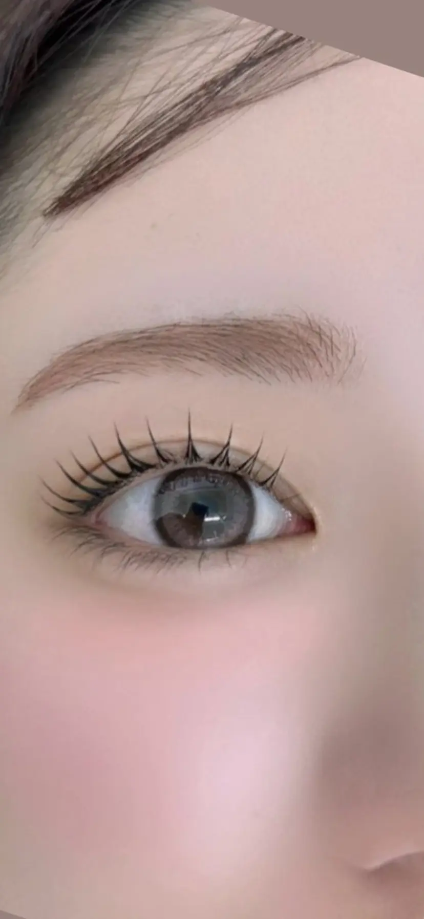 アイラッシュ アトリエBONOの掲載