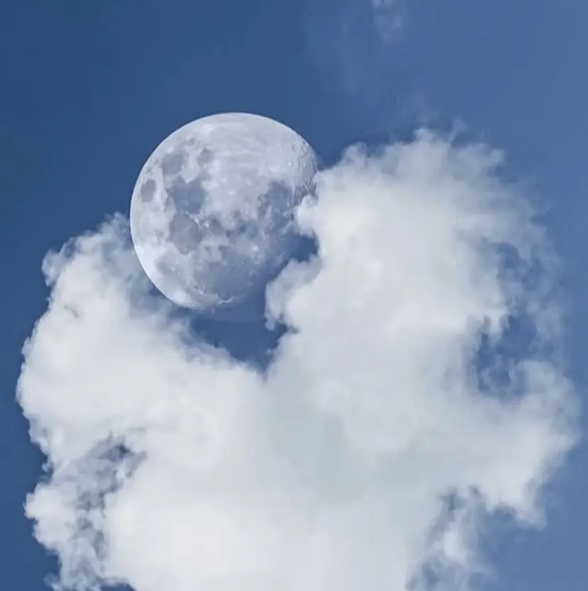 merci hibiki🫧の掲載