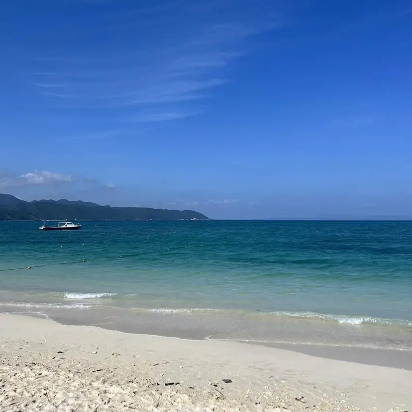 カラー/レイヤー /カット泉谷七登の掲載