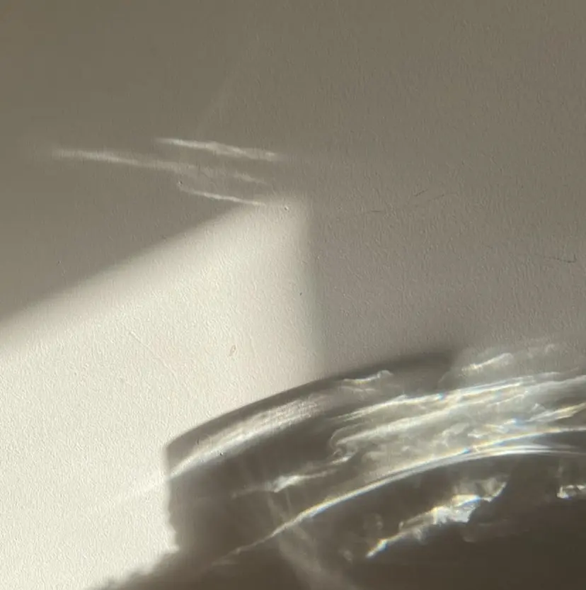 ogata ayumiの掲載