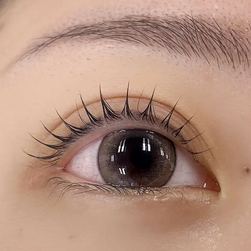 shizuka E&Bの掲載