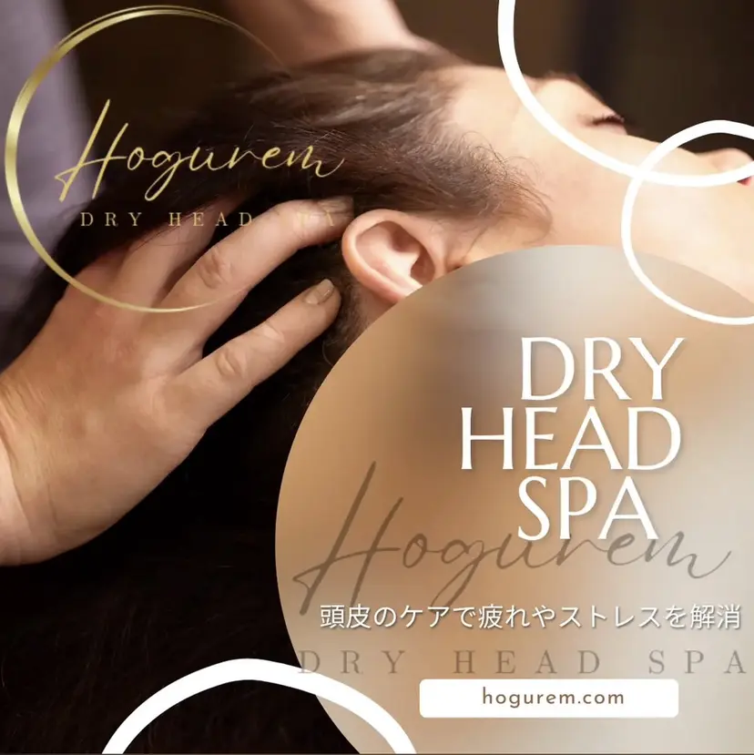 宮崎 セリナの掲載