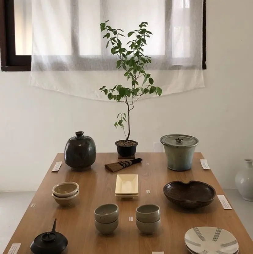 小林 珠莉の掲載