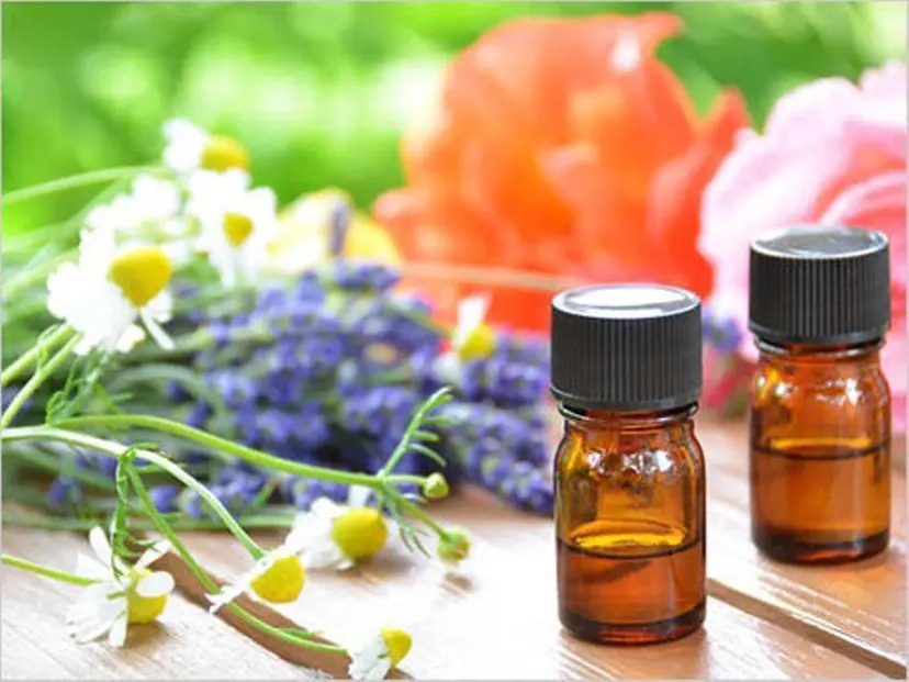 森島 かなねの掲載