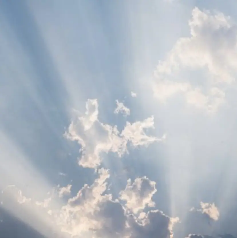 nailsalon amoの掲載