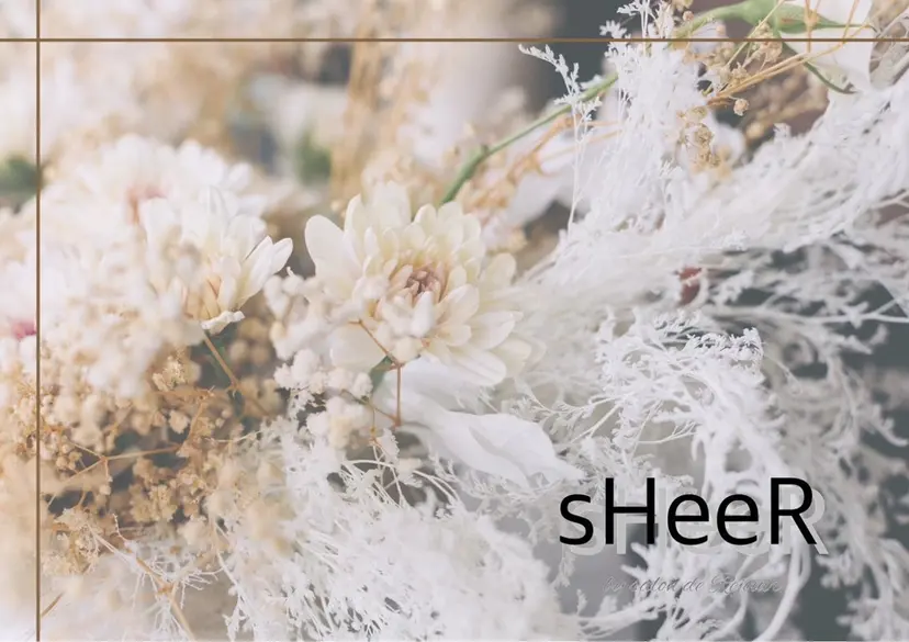 sHeeR【シアー】 ハマナカの掲載