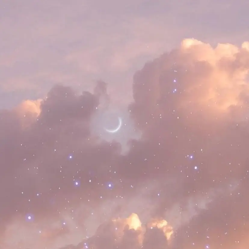 新沼 涼香の掲載