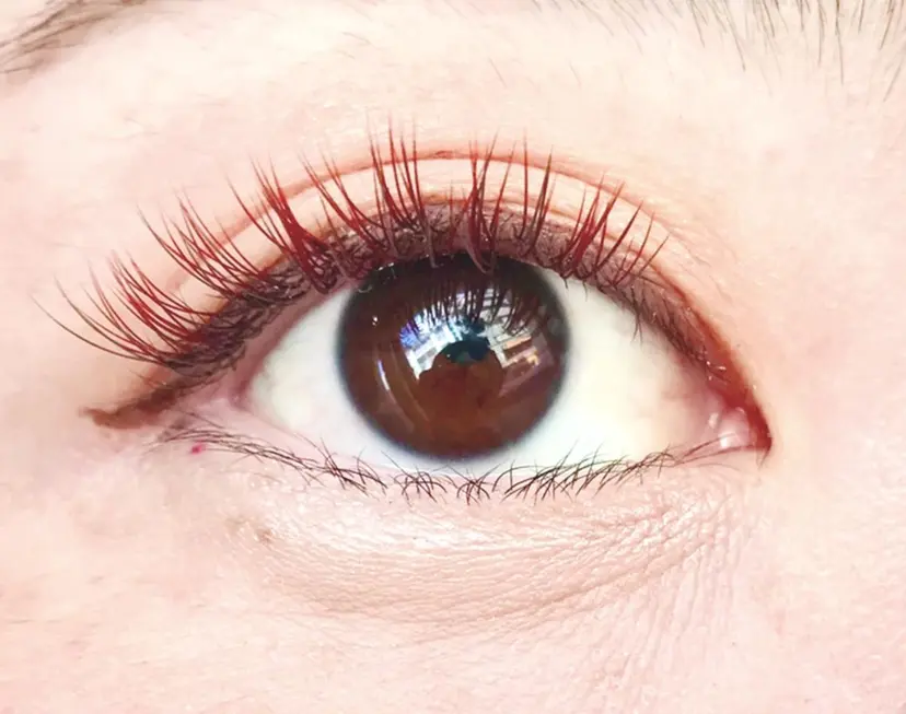 ＊Belle＊ ササキの掲載