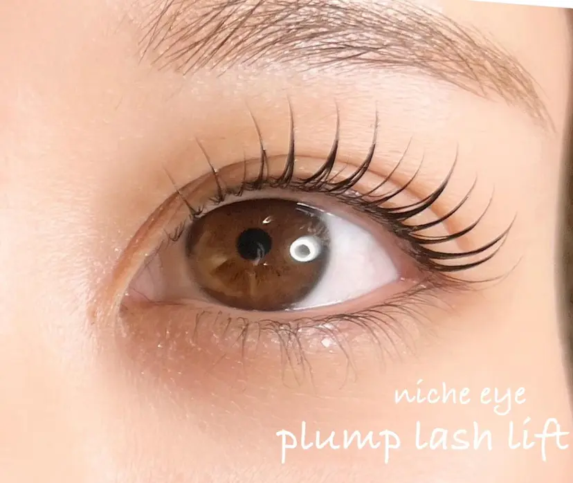 平本 清夏の掲載